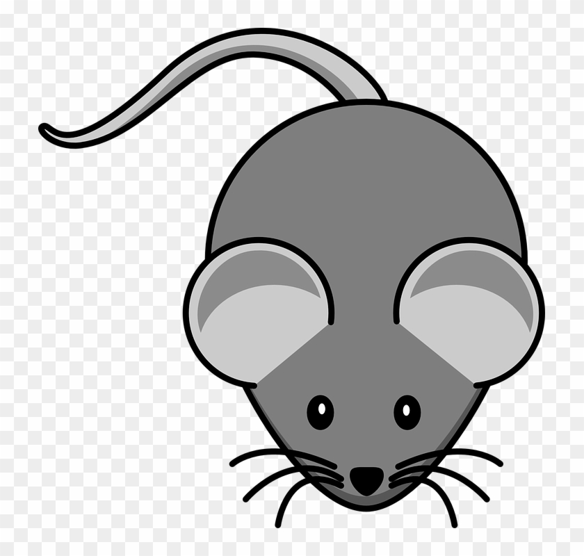 Cute Cartoon Square Grey Mouse And Cheese Stock Vector - Mouse Clip Art #964161