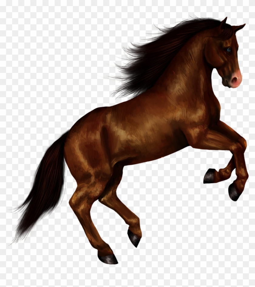 Horse Png - Horse Transparent Background #964410