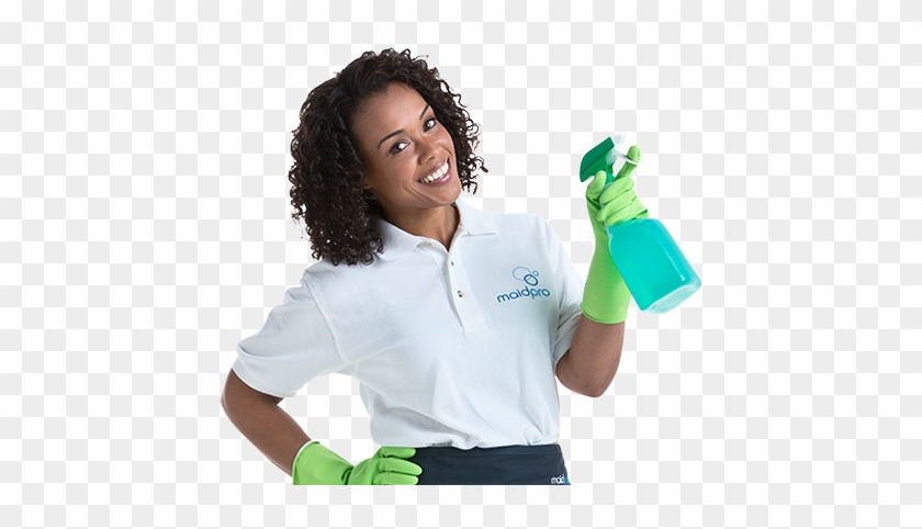 Maidpro Provides A Full Range Of House Cleaning And - Maidpro Cleaning #964415