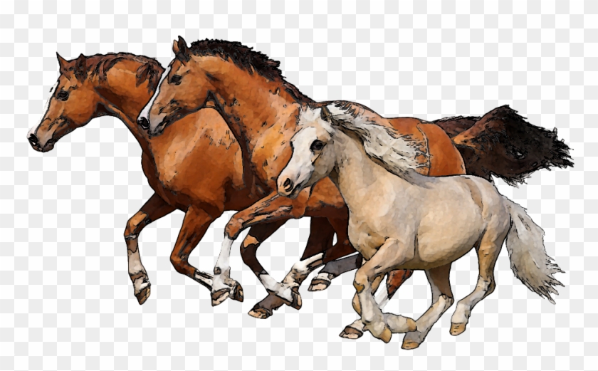 Download Png Image Report - Group Of Horses Clipart #964424