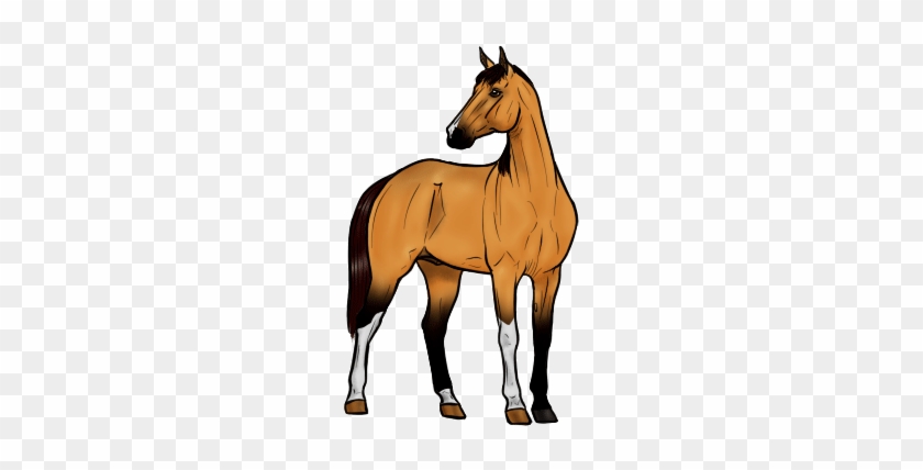 Animated Horse - Horse Animation Transparent - Free Transparent PNG Clipart  Images Download