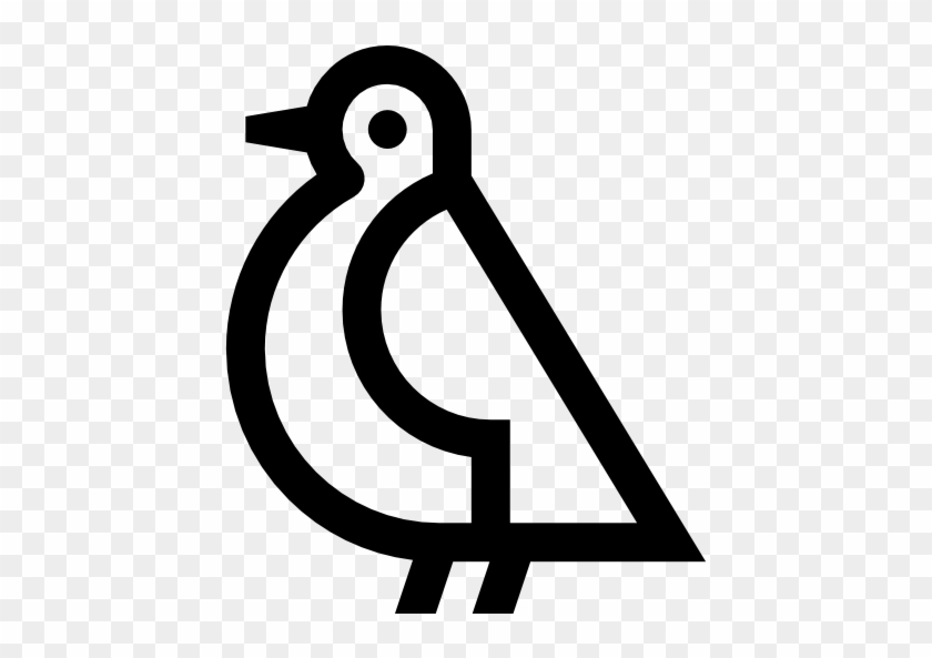 Seagull Free Icon - Seagull Free Icon #964647