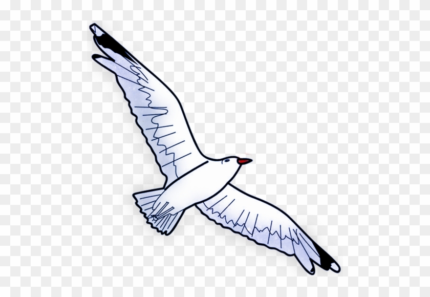 Seagulls - Seagull Clipart #964664