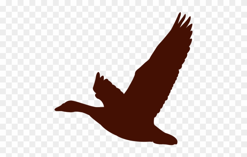 Bird Goose Flying Silhouette - Fly Duck Silhouette #964691