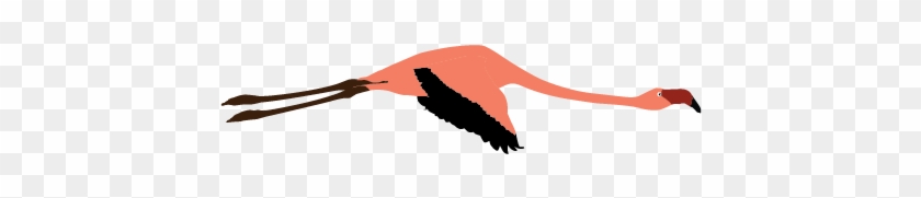 Flying Flamingo Clipart Lrg - Crane #964712