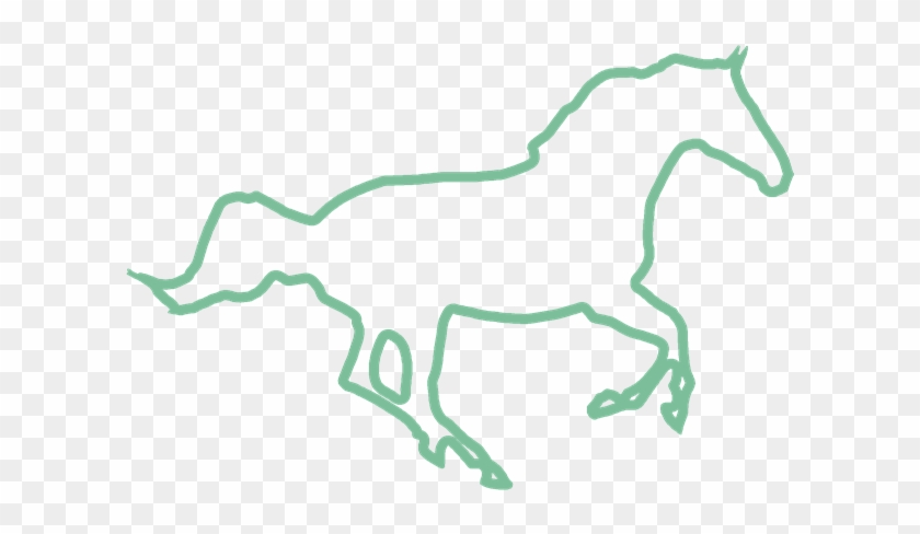 Competition Groom / Assistance - Mane #964861