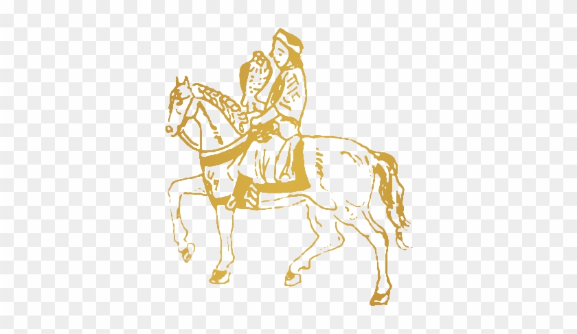 Recently Updated - Mane #964874