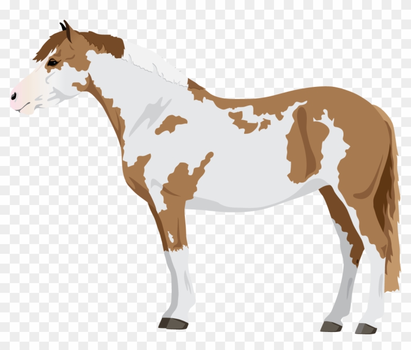Horse #964896