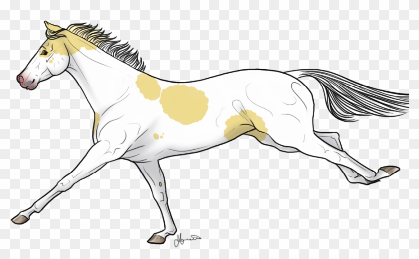 Palomino Tobiano Frame By White Horse - Mane #964932