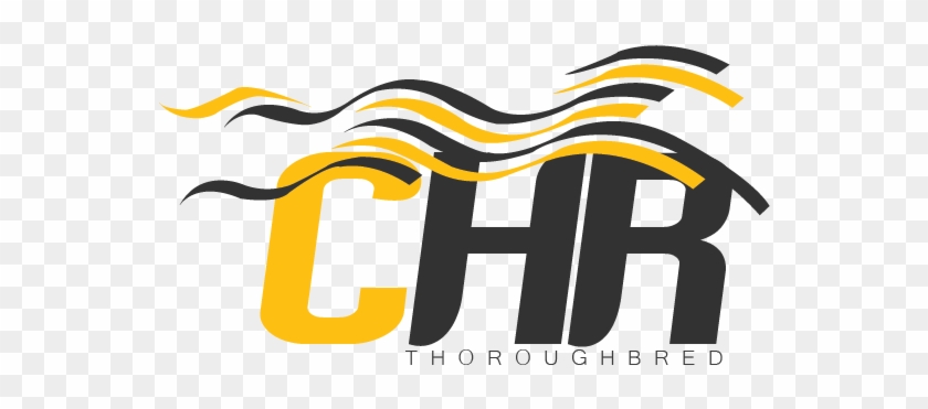 Logo Work For Chr By Emrah Yildirim - Horse Racing #964963