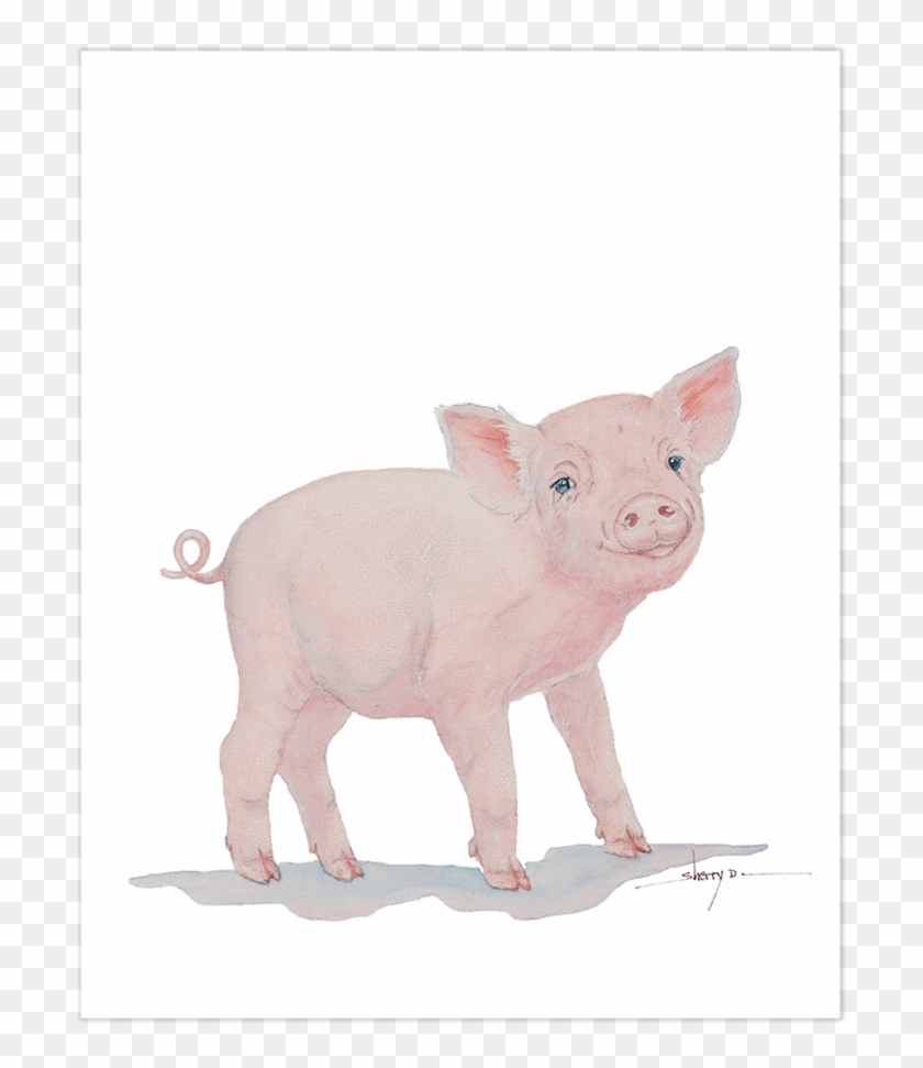 Baby Pig Wall Art - Art #965158