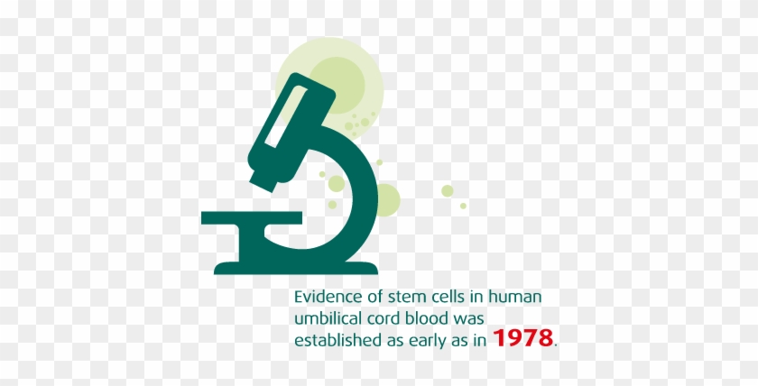 Stem Cell Deposits Previously Stored At Vita 34 Have - Scientific Illustration Of A Microscope Cufflinks #965172