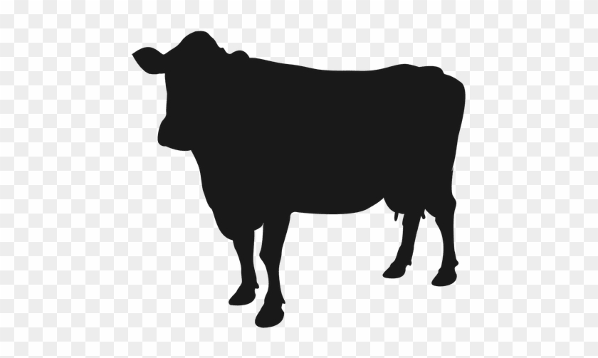 Cattle Clipart Transparent - Cow Icon Png #965190