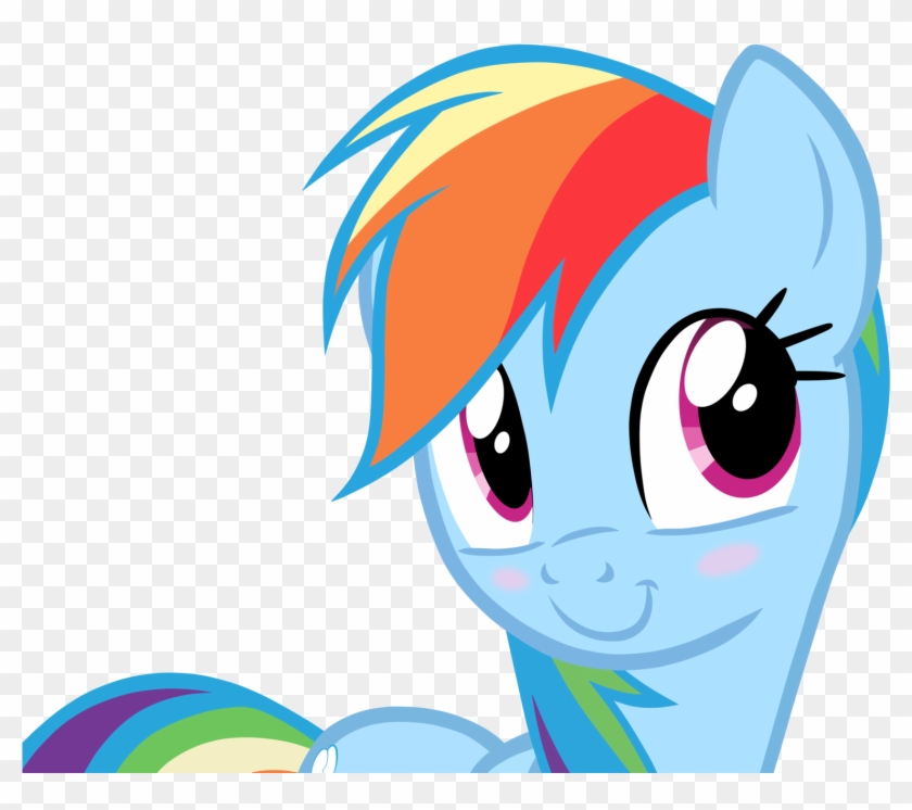 Why Are We Even Here - My Little Pony Rainbow Dash Face #965281