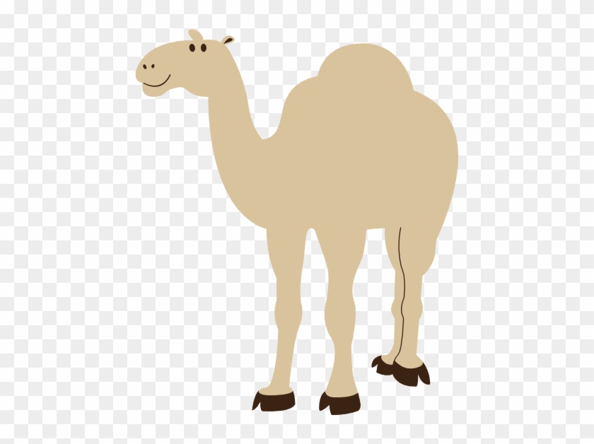 Colorful Animal Camel Geometry 555px - Clip Art #965324