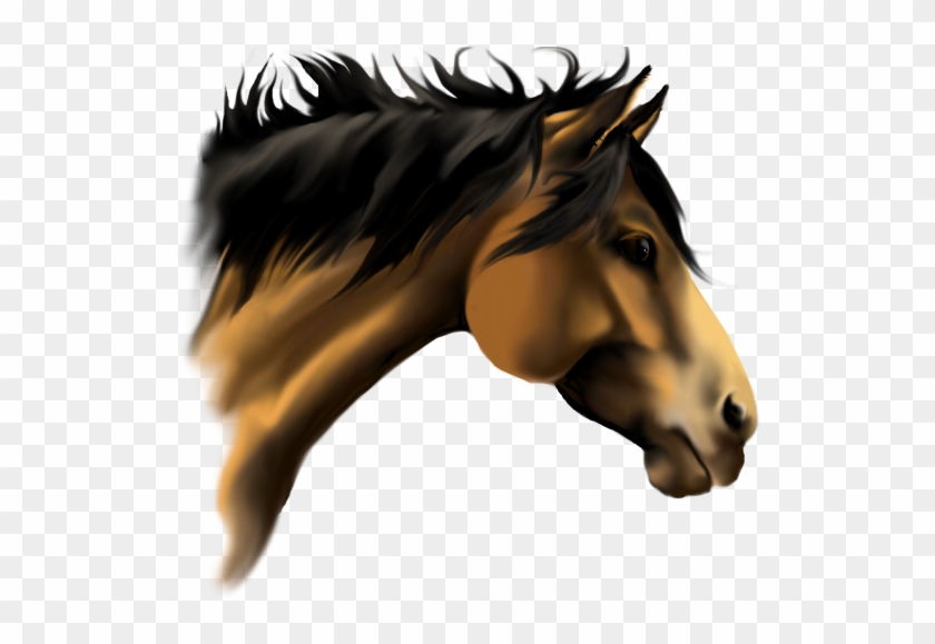 Horse - American Paint Horse Mane #965450