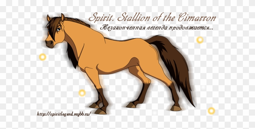 Автор - Spirit - Администратор - Spirit - Stallion #965690