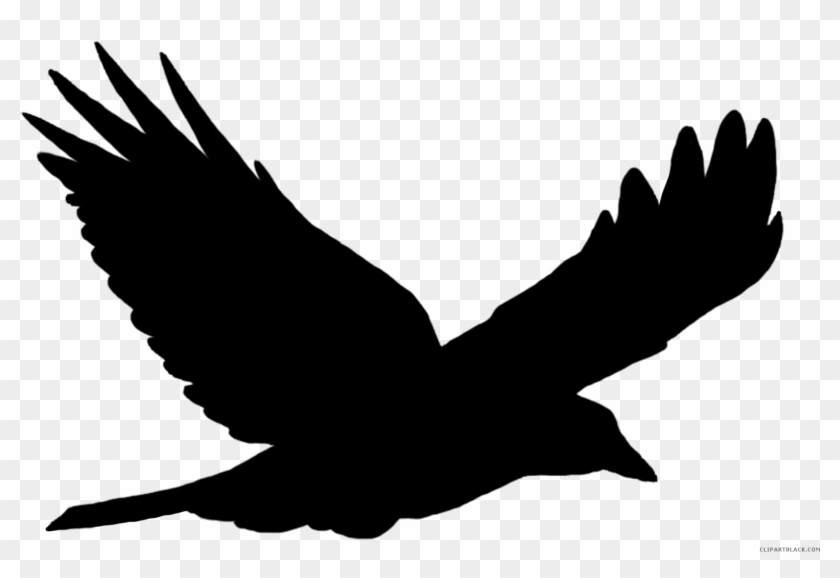 Crow Animal Free Black White Clipart Images Clipartblack - Flying Bird Silhouette Vector #966074