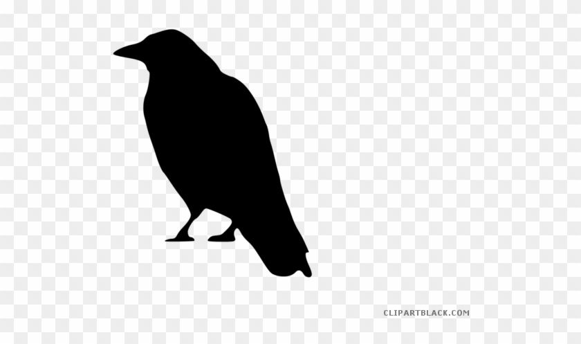 Crow Animal Free Black White Clipart Images Clipartblack - Six Of Crows Crow #966237