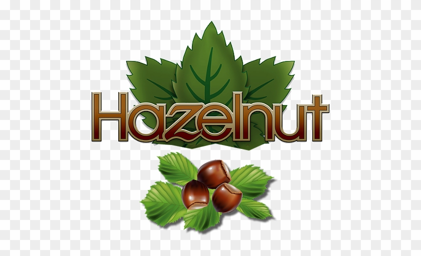 Hazelnut - Hazelnut #966719