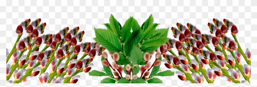 Изображение Для Плейкаста - Cake #966736