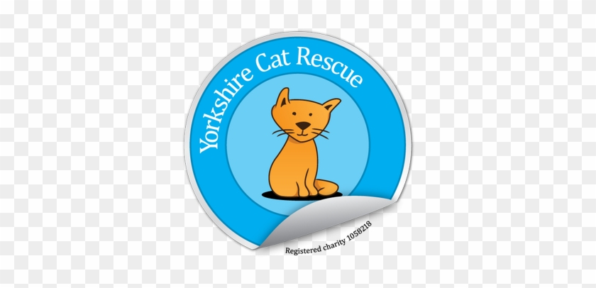 Yorkshire Cat Rescue - Yorkshire Cat Rescue #966829