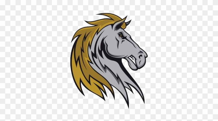 Lo - Stallions #967081