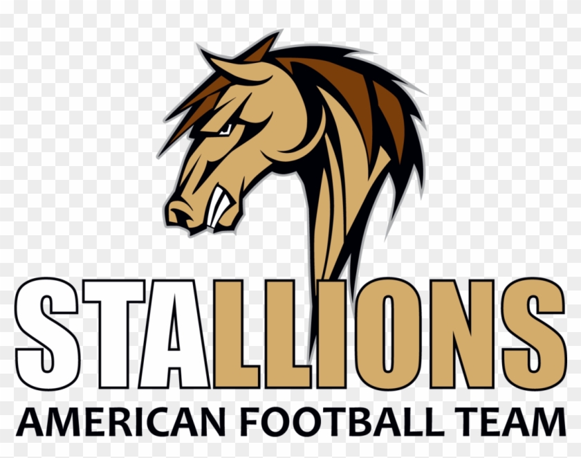 Pardubice Stallions, Z - Stallions Pardubice #967084