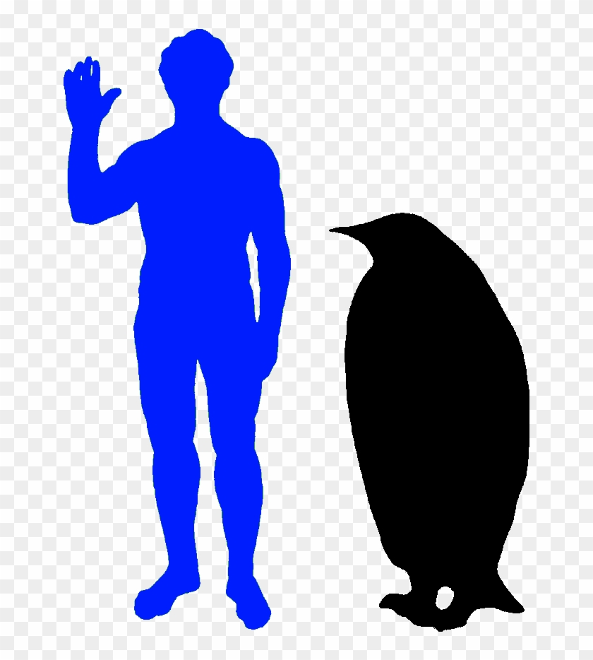 The Emperor Penguin Is The World's Biggest Penguin - Rhino Compared To Human #967250