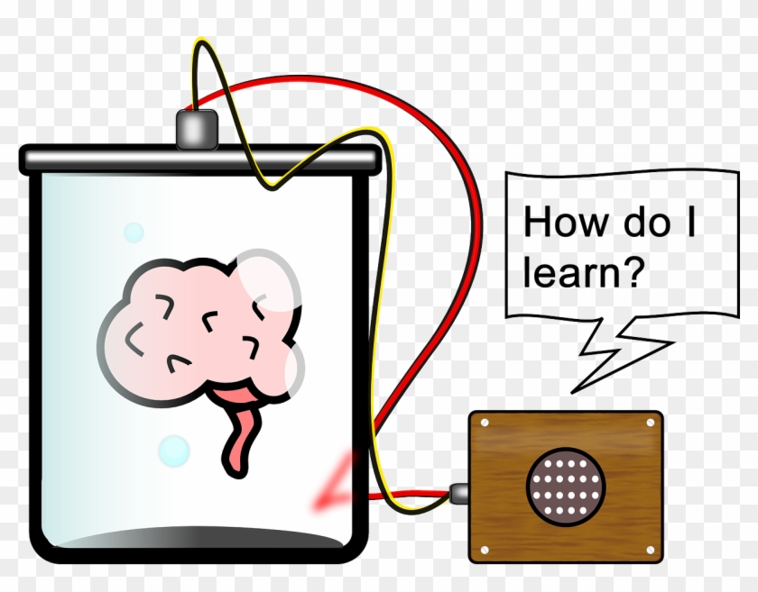 Discover Learni - - Brain In A Vat #967309