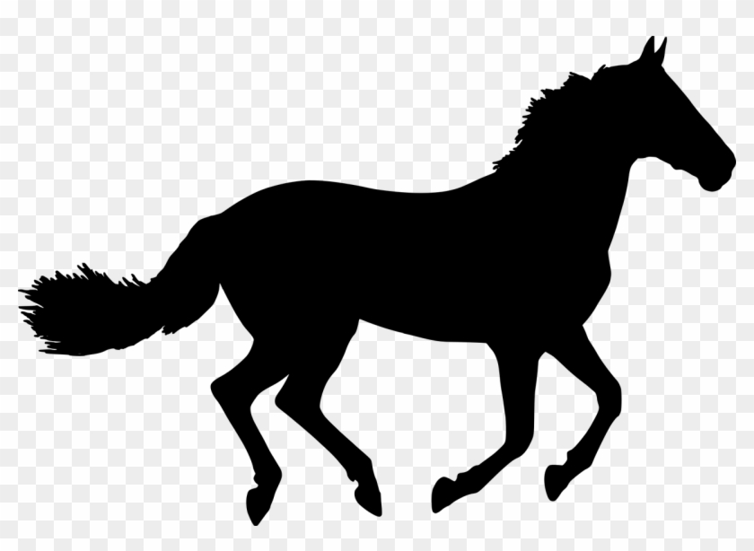 Donkey Silhouette Cliparts 16, Buy Clip Art - Black Horse Inside Coolmore [book] #967315