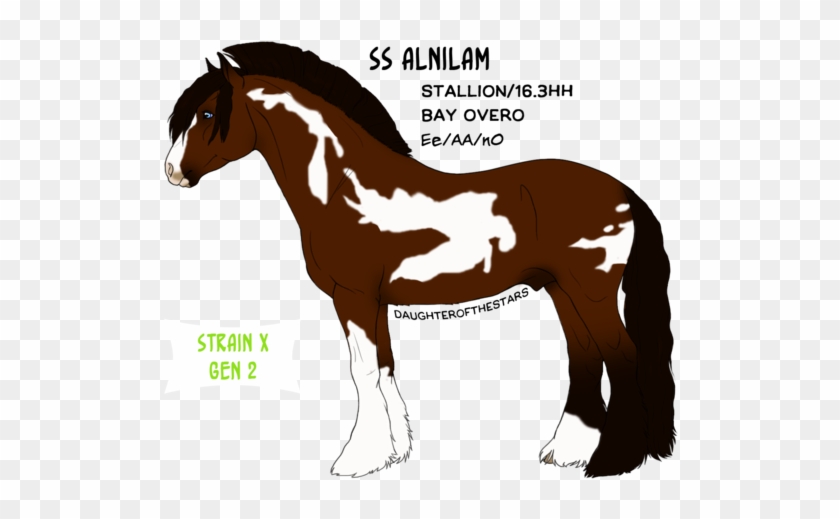 Melon By Daughterofthestars - Stallion #967345