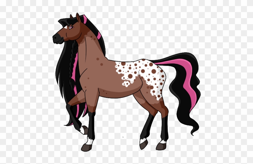 Bay Roan Blanket Appaloosa Mare Owner - Horseland Http I185 Photobucket Com Albums X280 Enloc #967371