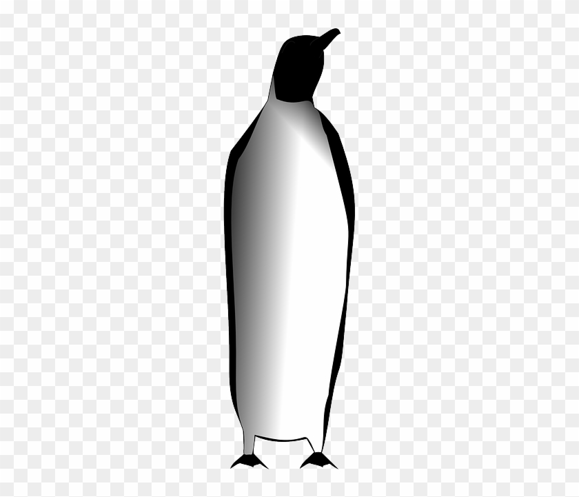 Animal Emperor Penguin, Penguin, Tux, Linux, Arctic, - Pinguim Imperador Png #967429
