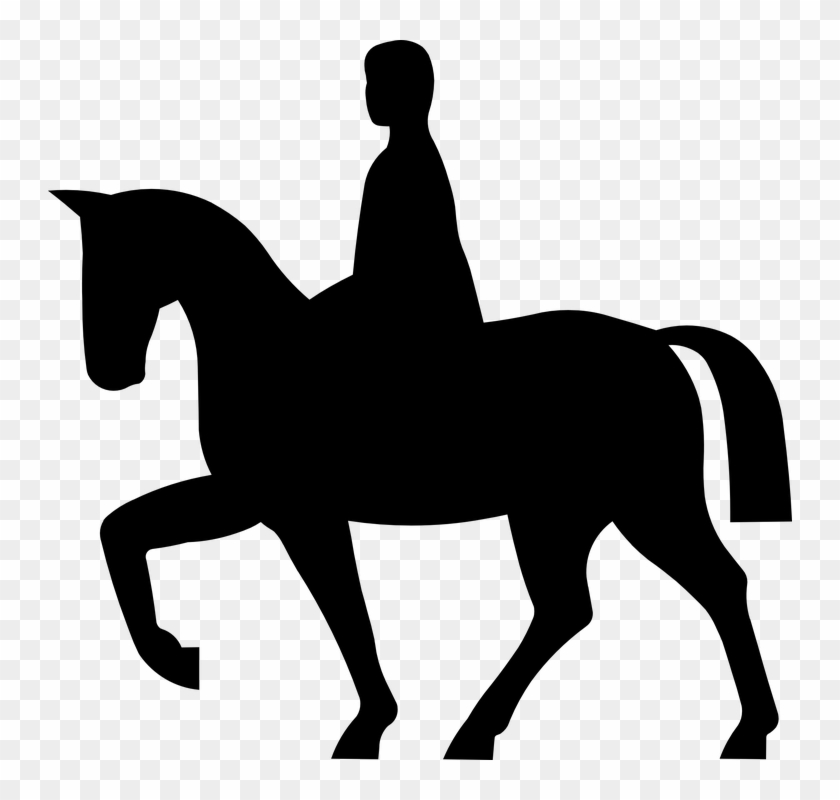 Horse Riding Vector #967468