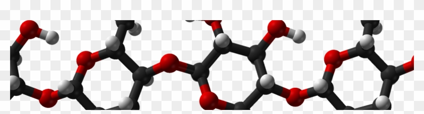 What Wine Is Made Of - Handbook Of Polysaccharides [book] #968185