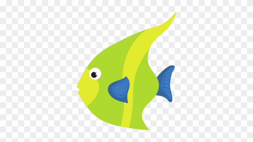 Fish Sea Life Animal - Graphic Design #968226