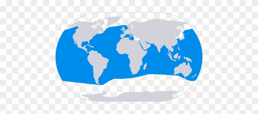Risso's Dolphin Range Map - Flat World Map Vector #968422
