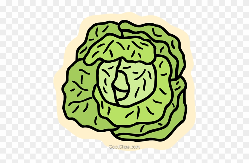 Lettuce - Bild Salat Clipart #968457