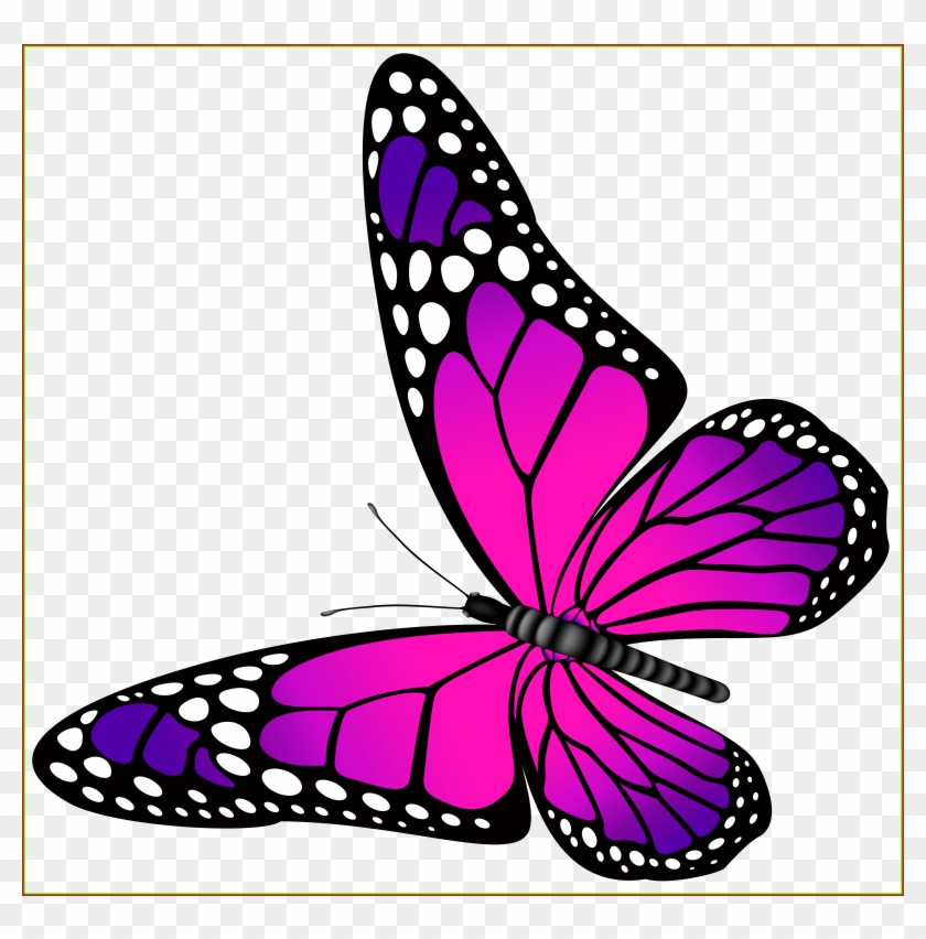 Awesome Butterfly Pink And Purple Transparent Png Clip - Awesome Butterfly Pink And Purple Transparent Png Clip #968919