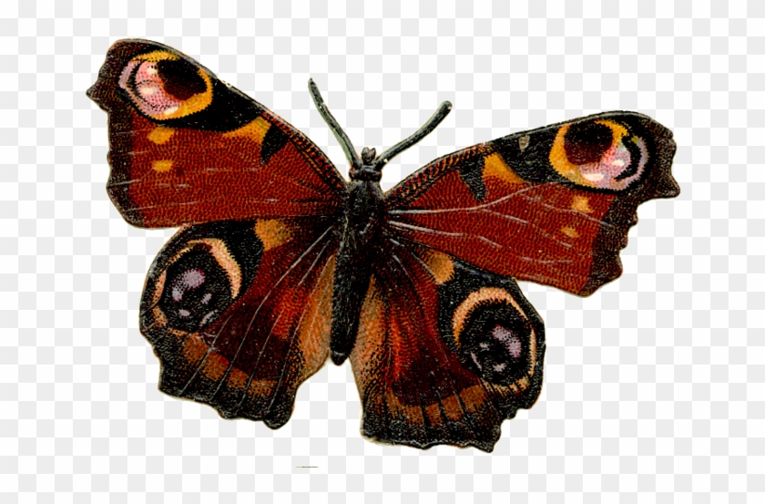 Винтажные Бабочки Для Декупажа - Butterfly Png Vintage #968929