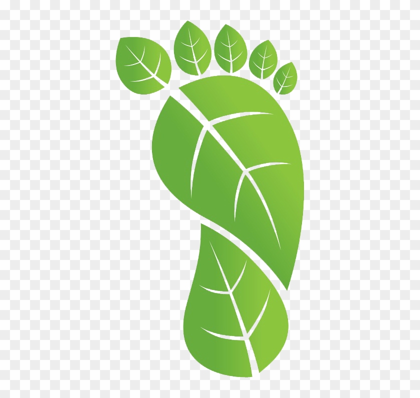 Carbon Footprint Clipart - Reduce Carbon Footprint Icon #968994