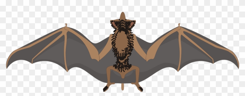 File - Bat Clipart - Svg - Bat Spreading Wings #969068