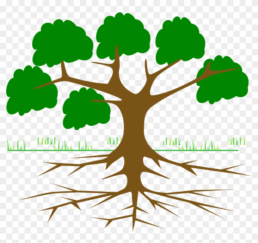 Em Foundations - 8/24/17 - Root Of A Tree Cartoon #969633