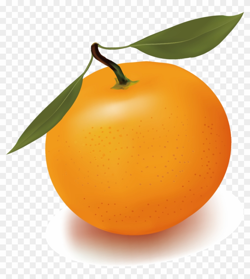 Orange Juice Free Content Clip Art - All Kinds Of Fruits #969861