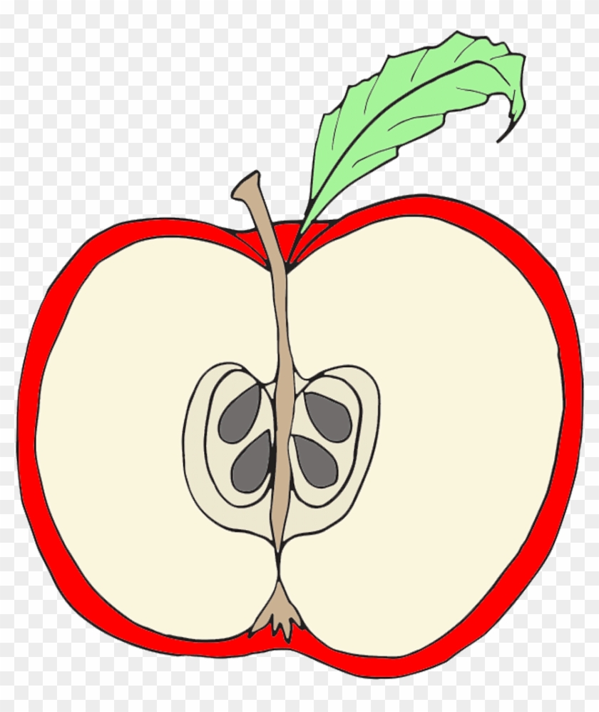 Parts Of An Apple Clipart - Parts Of An Apple Clipart #969864