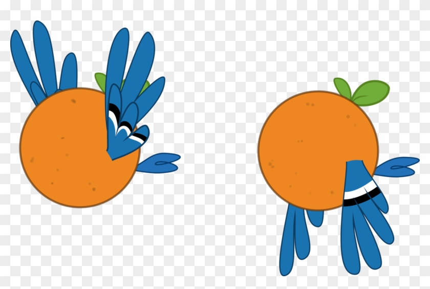 Blue Jay Orange Pack By Gwennie-chan - My Little Pony Blue Jay #969881