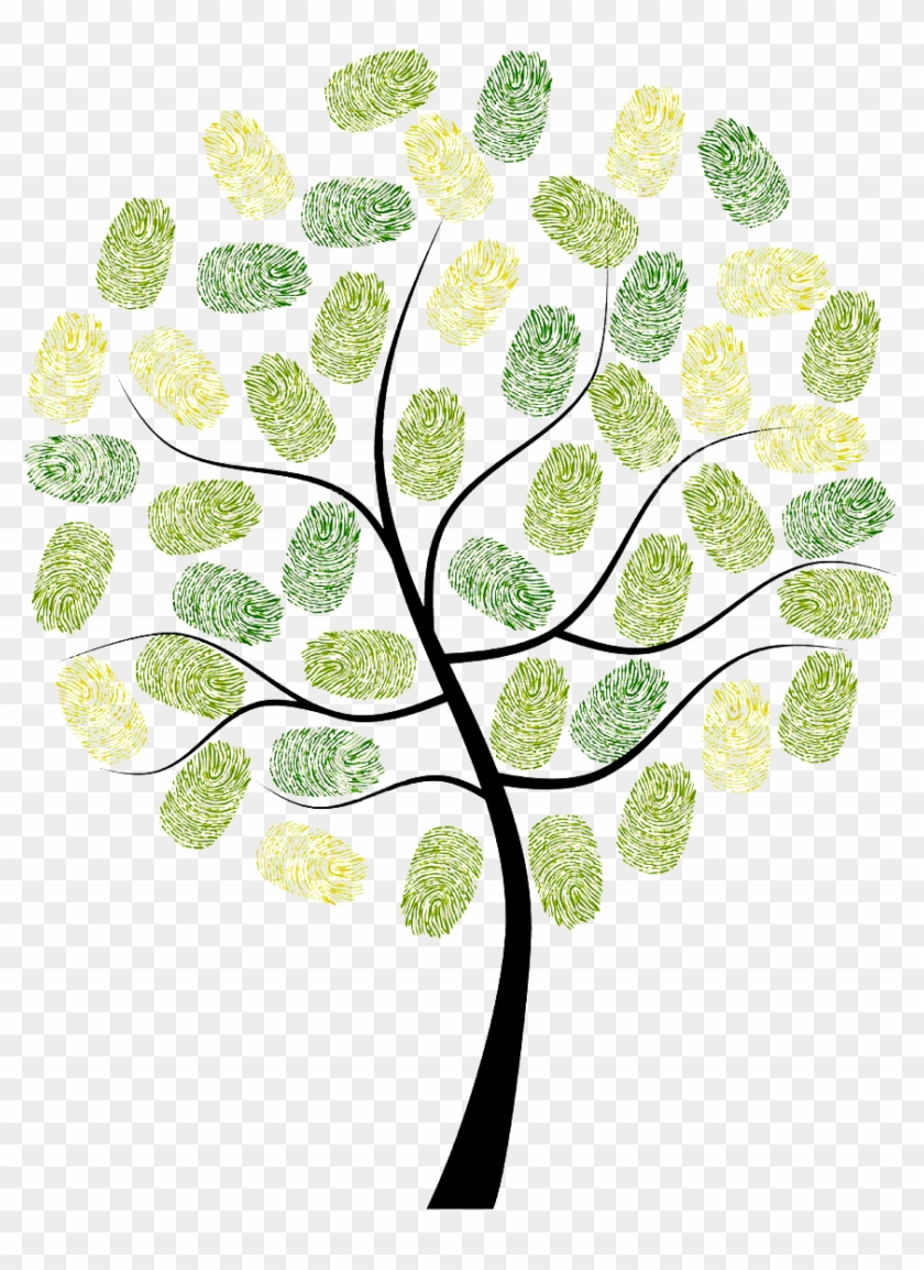 Fingerprint Owl Tree Digit Euclidean Vector - Arbol Huellas Png #969992