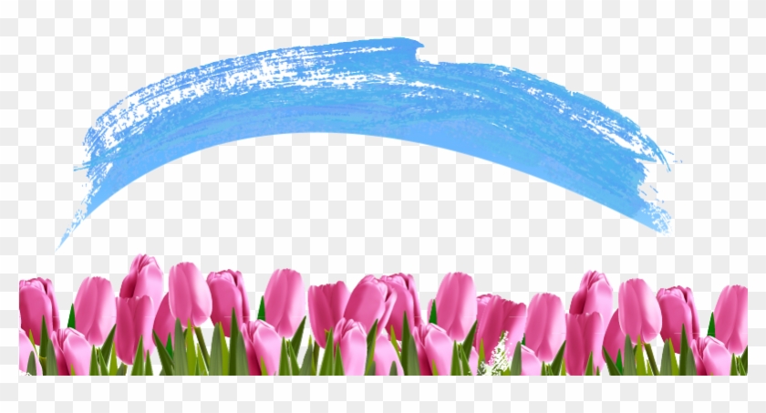 Tulip Clip Art - Tulip #970183