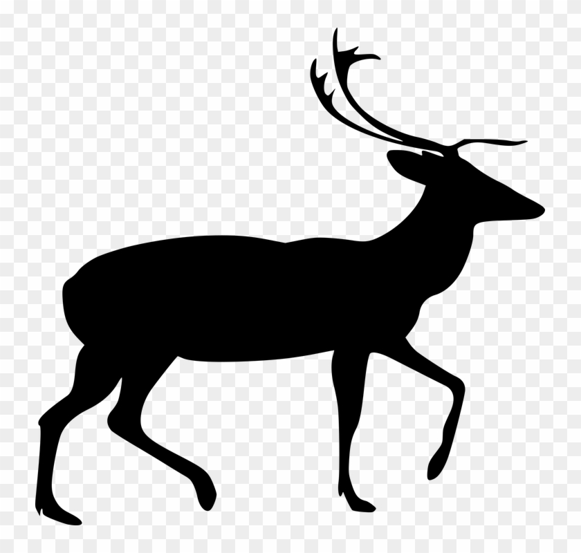 Reindeer Silhouette 12, - Stag Clipart #970474